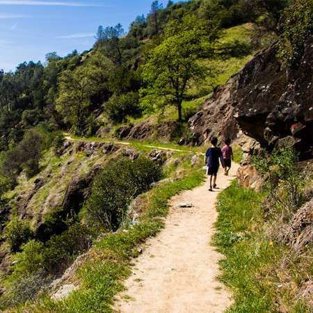 Hiking Trails