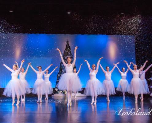 Nevada County Nutcracker