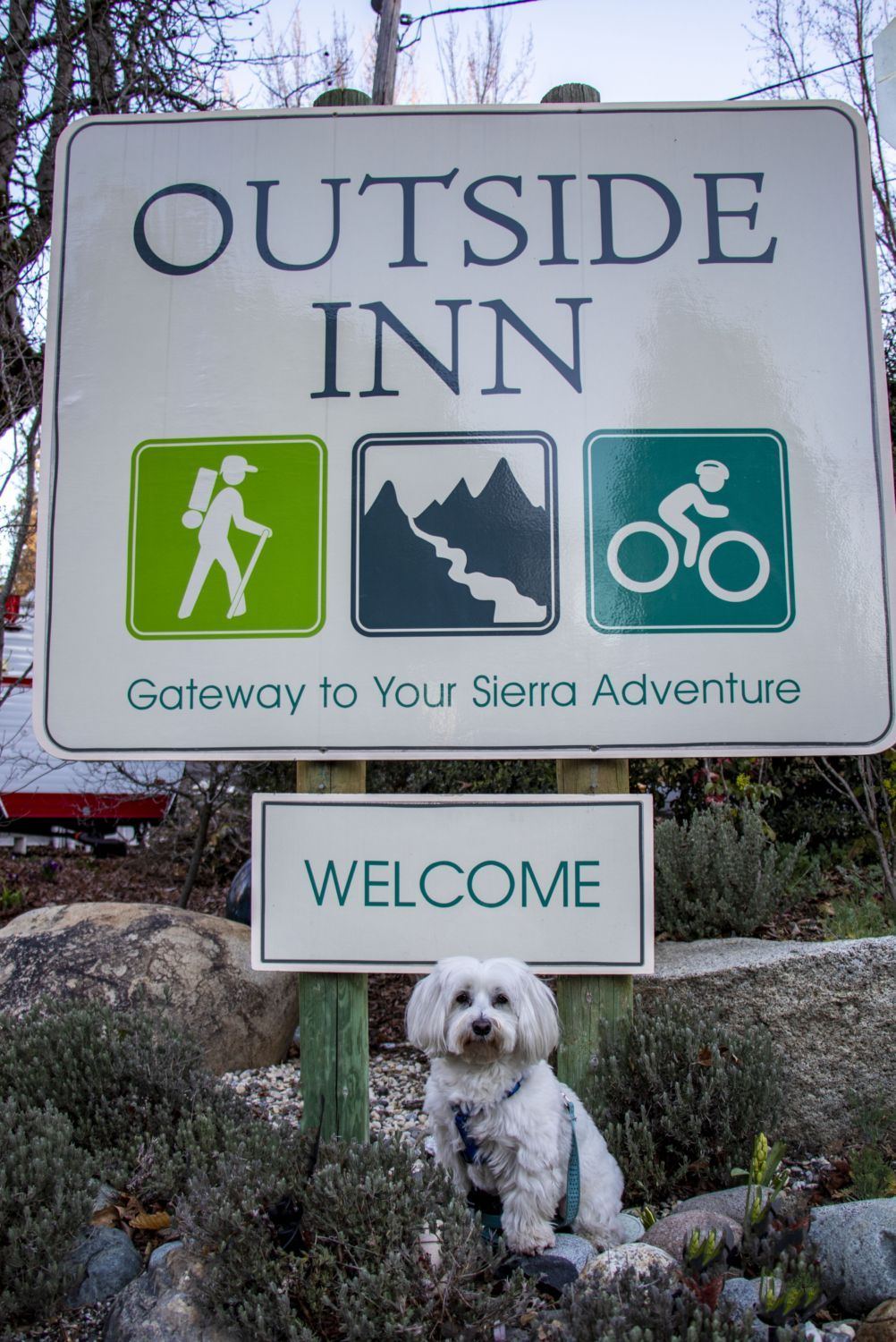 Dog Friendly Motel