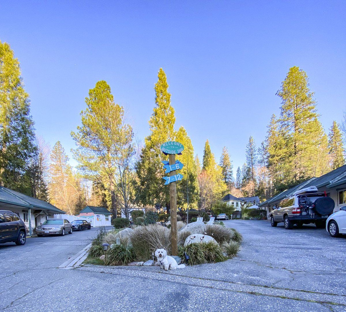 Dog Friendly Motel
