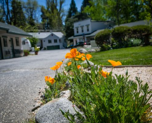 Spring at the Outside Inn
