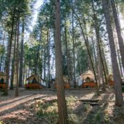 Glamping