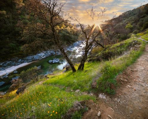Spring in Nevada City